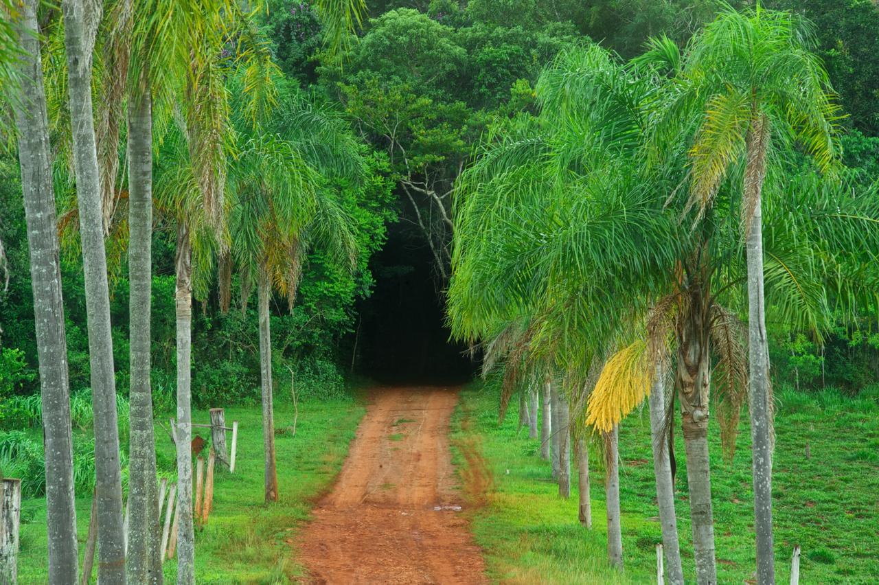 La Mision Mocona - Lodge De Selva Saltos del Moconá Eksteriør bilde