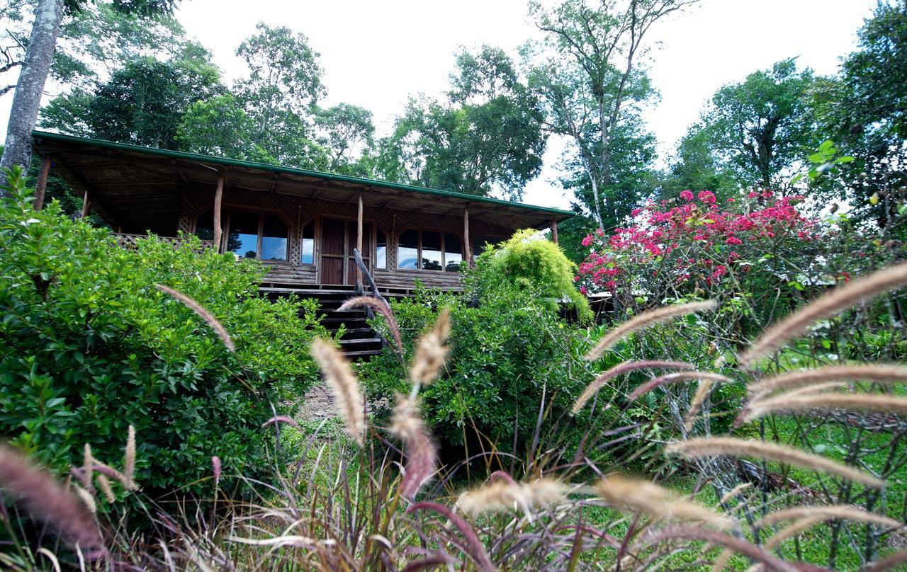 La Mision Mocona - Lodge De Selva Saltos del Moconá Rom bilde