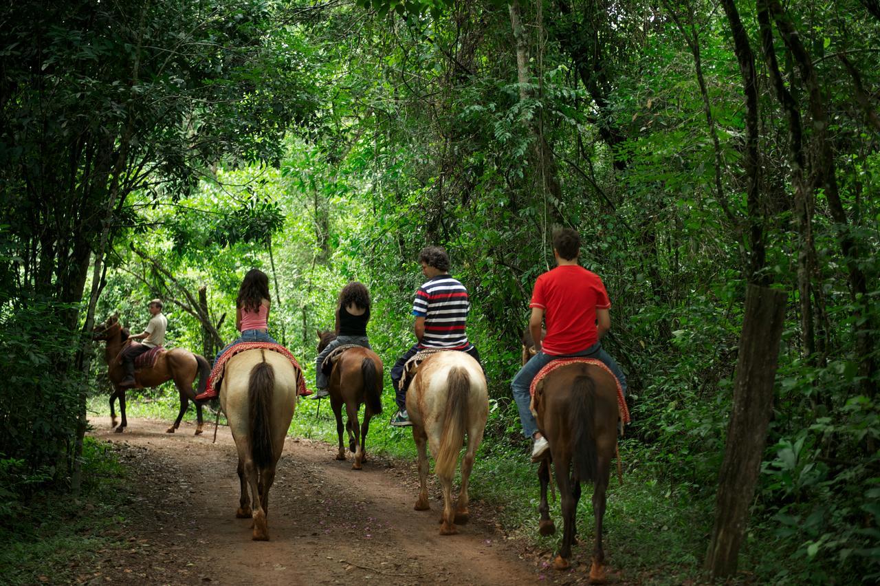 La Mision Mocona - Lodge De Selva Saltos del Moconá Eksteriør bilde