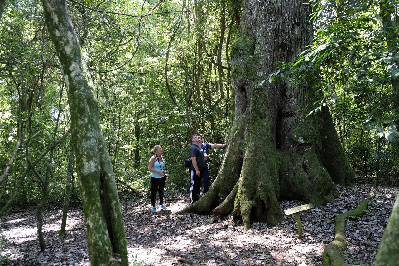 La Mision Mocona - Lodge De Selva Saltos del Moconá Eksteriør bilde
