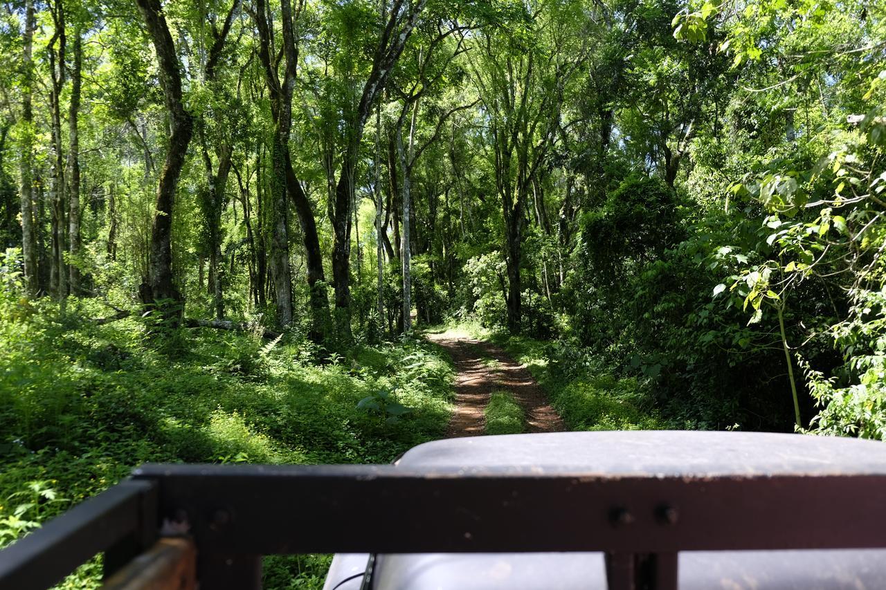 La Mision Mocona - Lodge De Selva Saltos del Moconá Eksteriør bilde