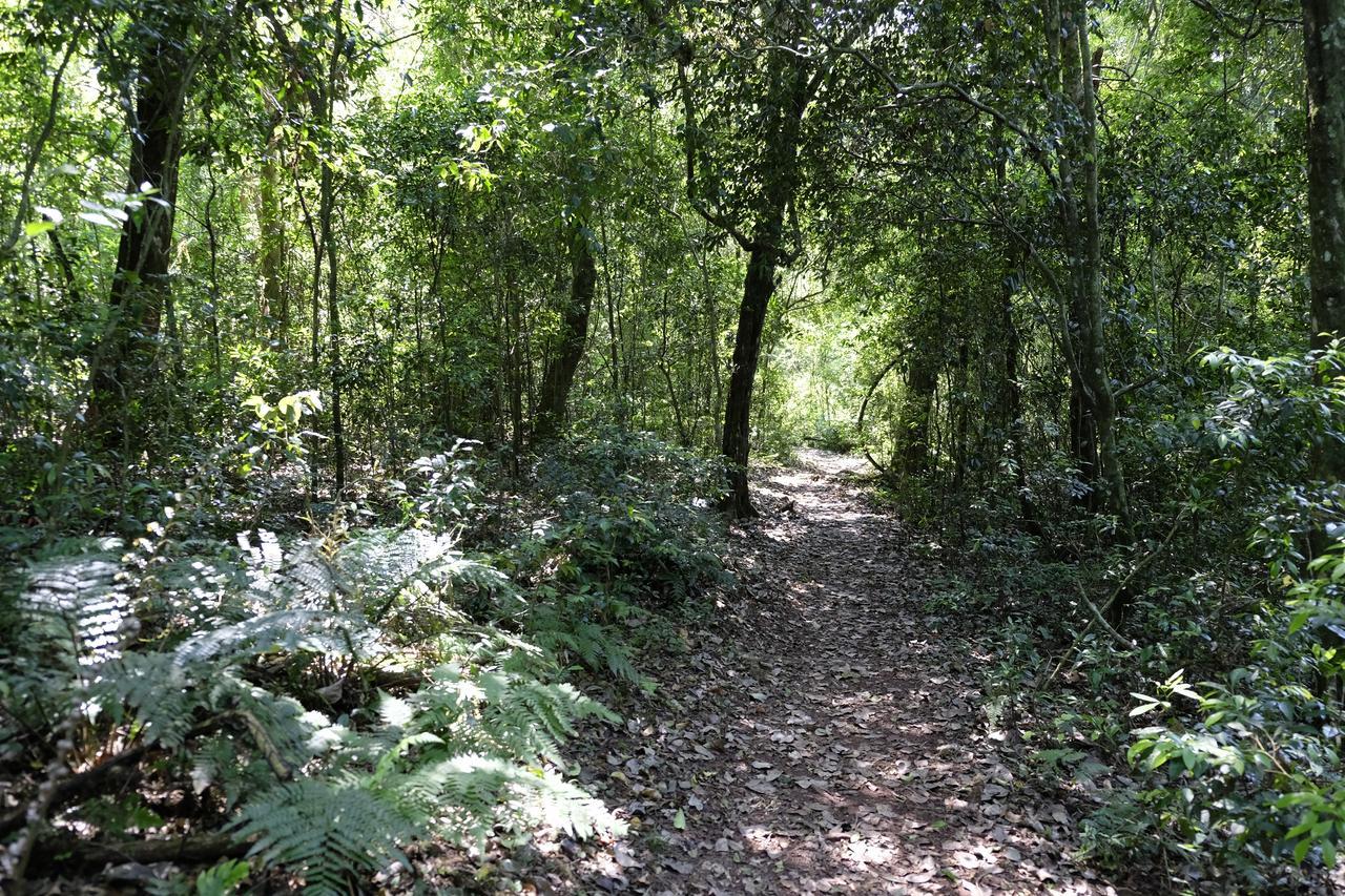 La Mision Mocona - Lodge De Selva Saltos del Moconá Eksteriør bilde